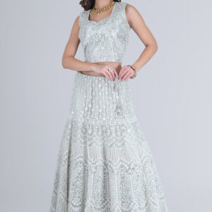 Light green Elite mirror work lehenga
