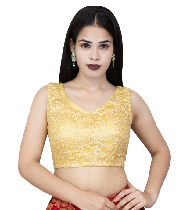 Golden Net Sleeveless V-neck Sequins Blouse