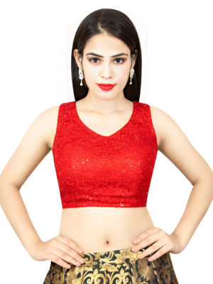 Indian Designer Multicolor Sequins Blouse